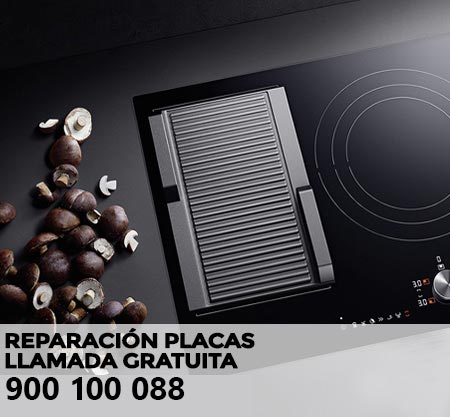 Reparación averías placa de cocción Norm